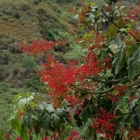 Maristella Lipari (Isola Lipari)