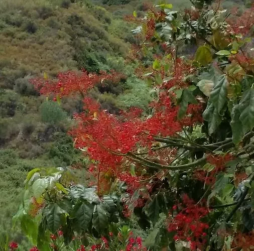 Maristella Lipari (Isola Lipari)